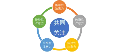 166272263835270782.webp 图片1.webp